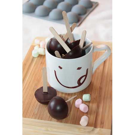 PLAQUE FLEX'ME PROFESSIONNEL POUR 12 DOMES ARD'TIME FP-DOMEPM