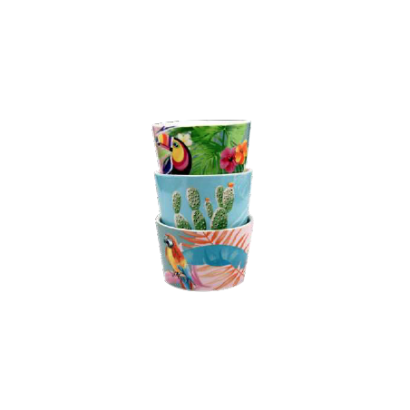 LOT DE 6 BOLS 9,5CM " POOL PARTY " ARD'TIME PPCOUP