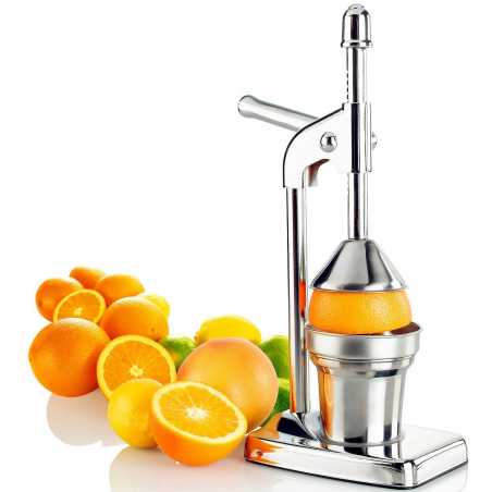 PRESSE AGRUMES A LEVIER