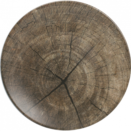 LOT DE 6 ASSIETTES Ø 20CM EN CERAMIQUE "RACLETTE PARTY" ARD'TIME RPASPM