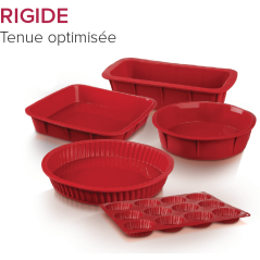 SILI-PRO STIJVE SILICONEN VORM - KEUZE VAN VORM