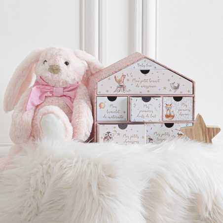 Coffret de naissance "Maisonnette" rose