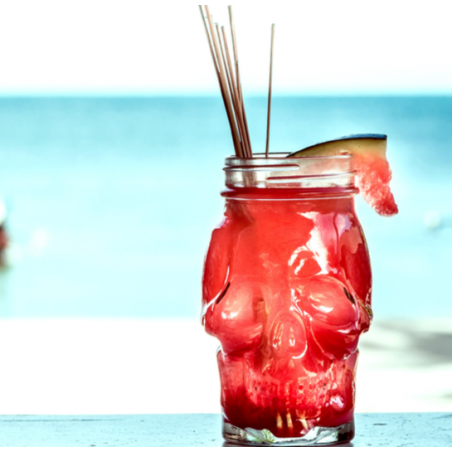 DRINKING JAR CUBANIOS TETE DE MORT 480ML ARD'TIME DJ-MOR