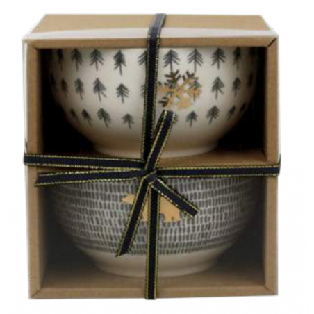 COFFRET 2 BOLS 470ML EN PORCELAINE "JOUR POLAIRE" ARD'TIME JP-2BOL1