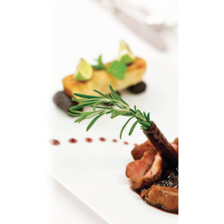 LOT DE 3 FLACONS A SAUCE ET A DECOR 24CL ARD'TIME FLAC8