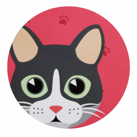 LOT DE 6 DESSOUS DE VERRE " FISH AND CATS " ARD'TIME FC6VER