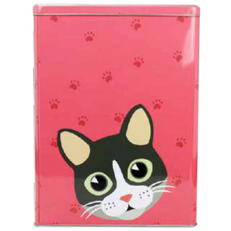 LOT DE 2 BOITES EN METAL " FISH AND CATS " ARD'TIME FCBOIT2